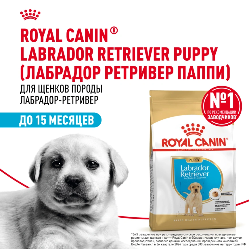 Сухой корм Royal Canin Labrador Retriever Puppy для щенков, 3 кг фото 13