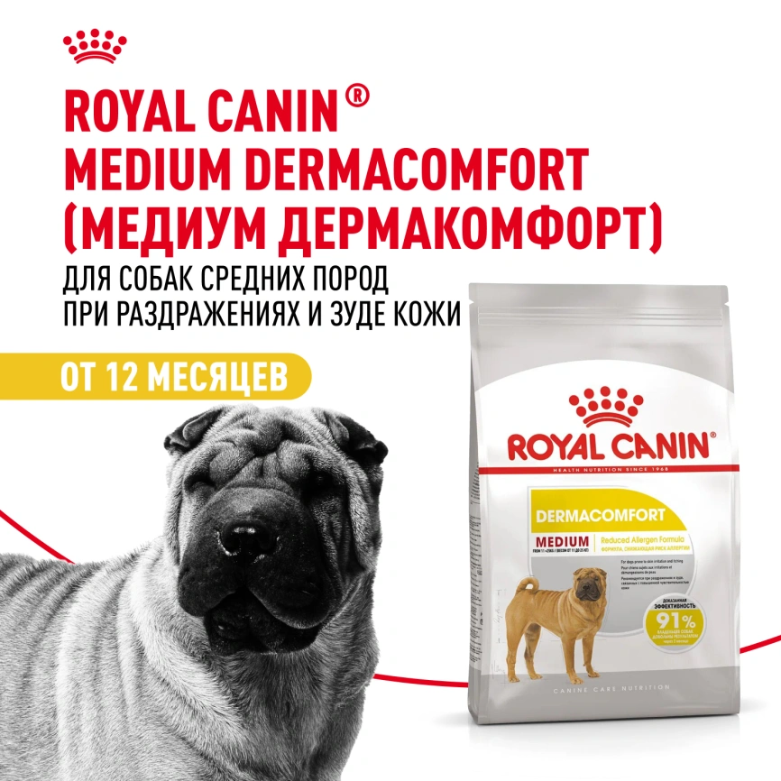 Сухой корм Royal Canin Medium Dermacomfort для собак, 3 кг фото 13