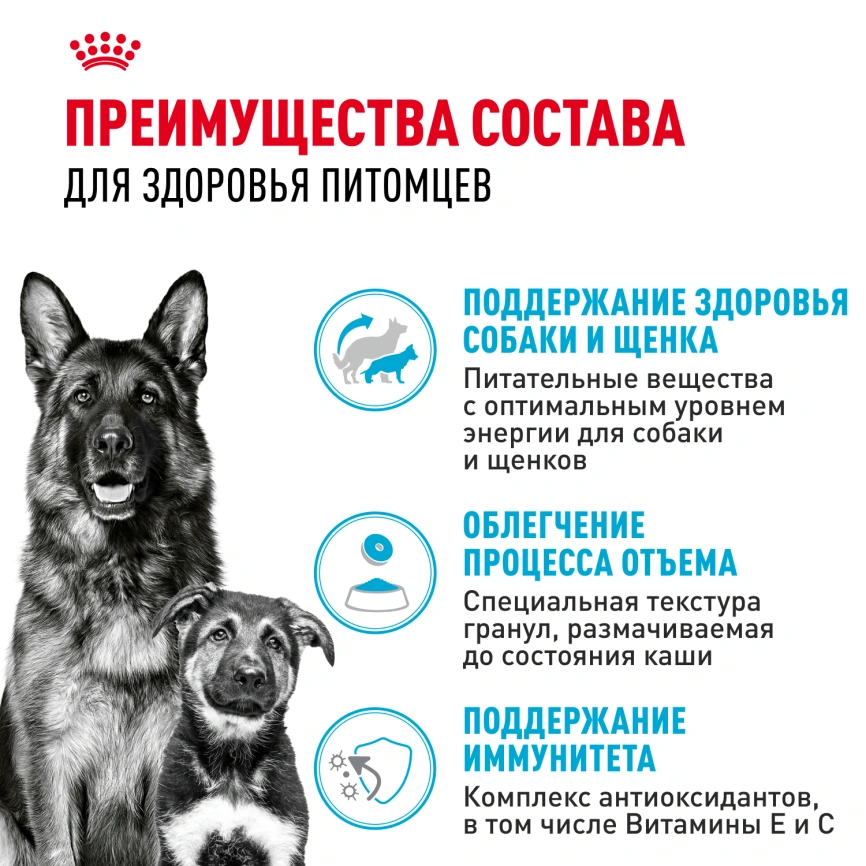 Сухой корм Royal Canin Maxi Starter Mother & Babydog для собак, 4 кг фото 9