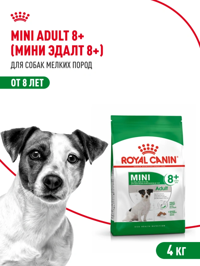 Сухой корм Royal Canin Mini Adult 8+ для пожилых собак, 4 кг фото 14