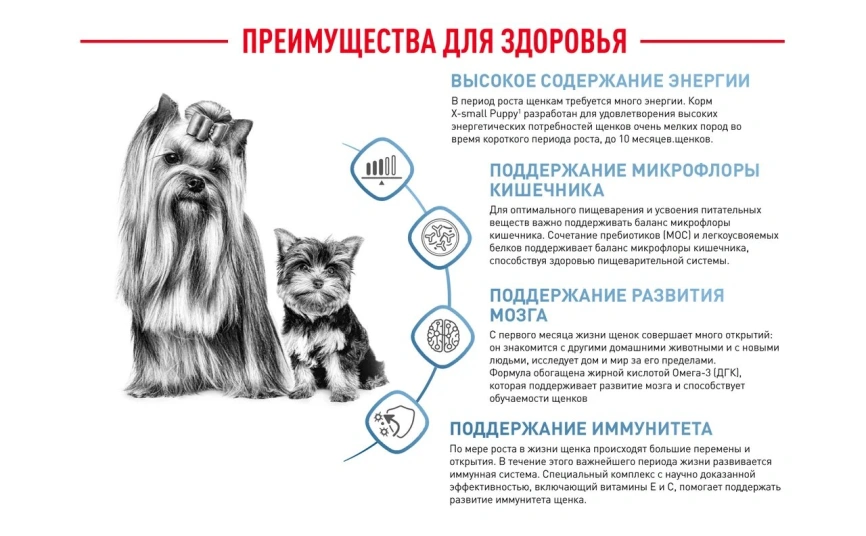 Сухой корм Royal Canin X-Small Puppy для щенков, 500 г фото 4