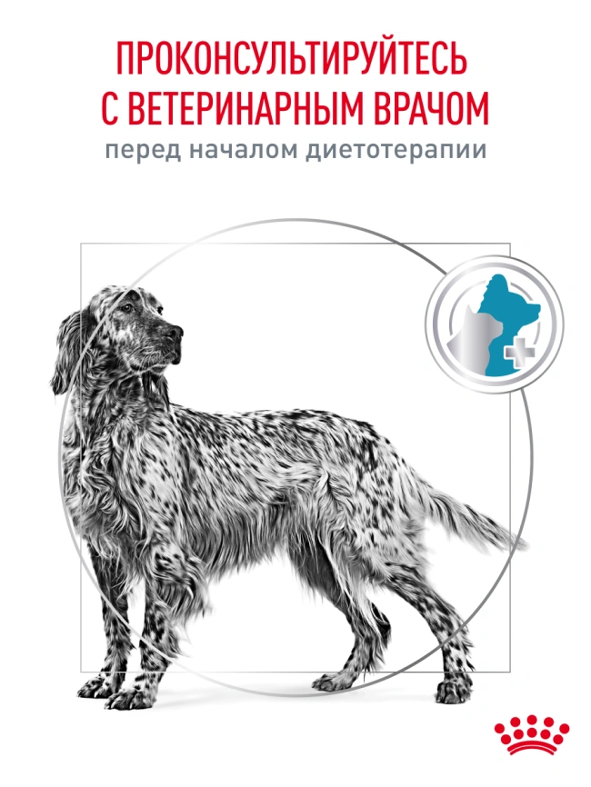 Сухой корм Royal Canin Hypoallergenic для собак, 1.5 кг фото 21