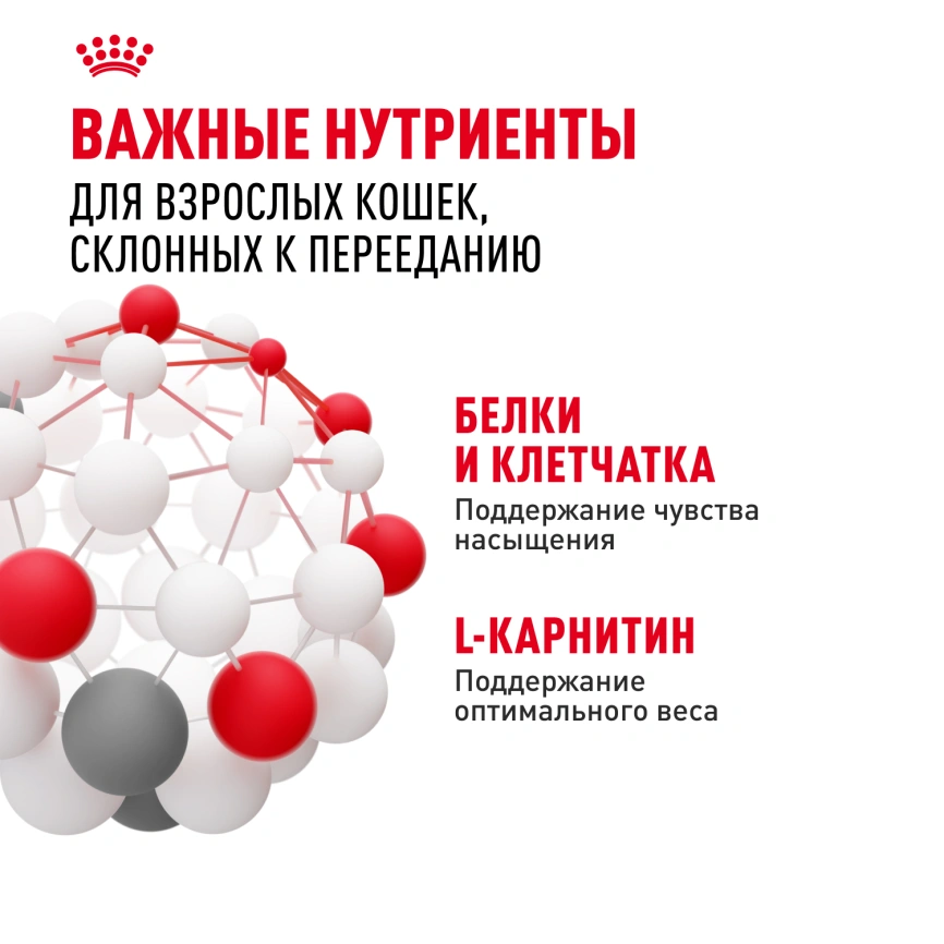 Сухой корм Royal Canin Appetite Control Care для кошек для контроля аппетита, 400 г фото 5