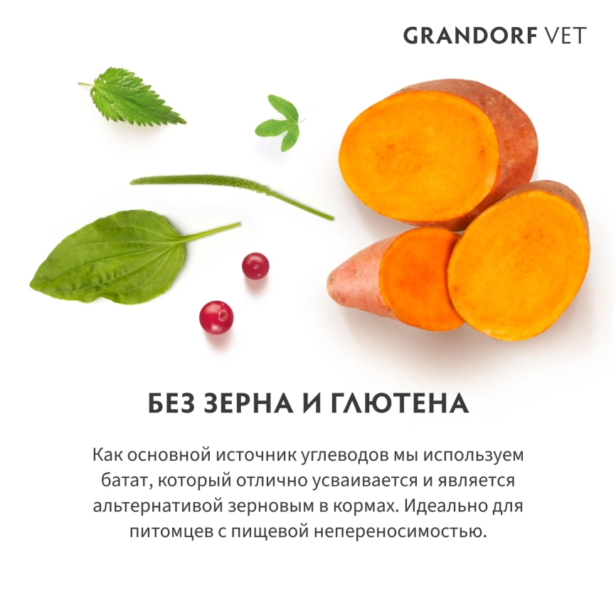 Сухой корм Grandorf Veterinary Dermatosis для собак при дерматозах, 3 кг фото 4