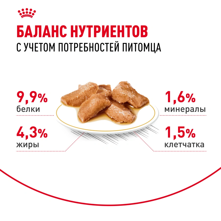 Влажный корм Royal Canin Maine Coon в соусе для кошек породы мейн-кун и других крупных пород старше 1 года, пауч, 85 г фото 4