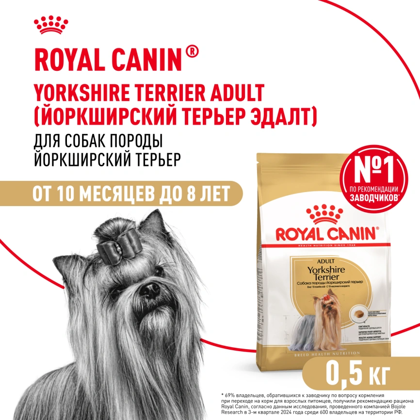 Сухой корм Royal Canin Yorkshire Terrier Adult для взрослых собак, 500 г фото 1
