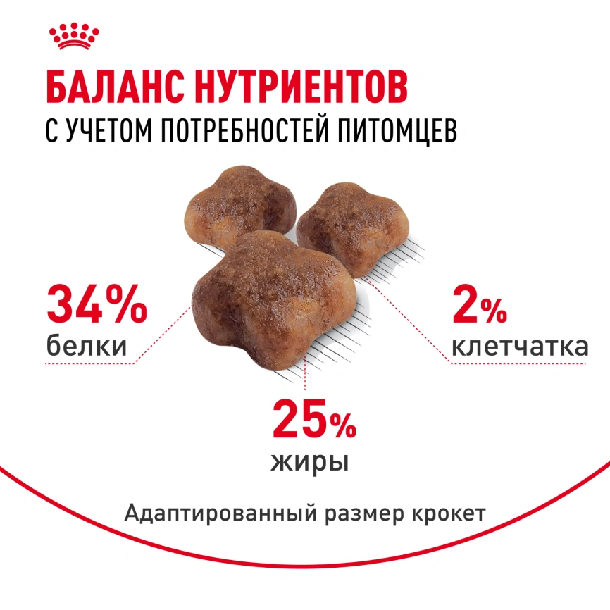 Сухой корм Royal Canin Mother & Babycat для котят, беременных и лактирующих кошек, 2 кг фото 4