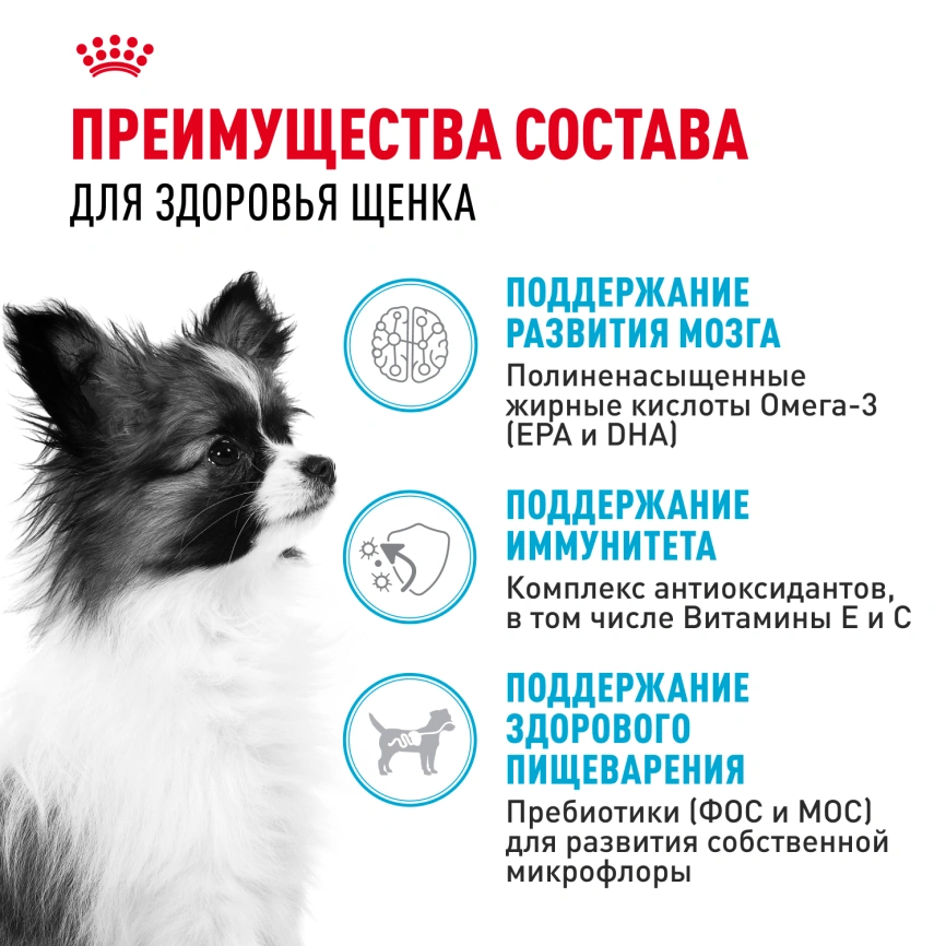 Сухой корм Royal Canin X-Small Puppy для щенков, 1,5 кг фото 3