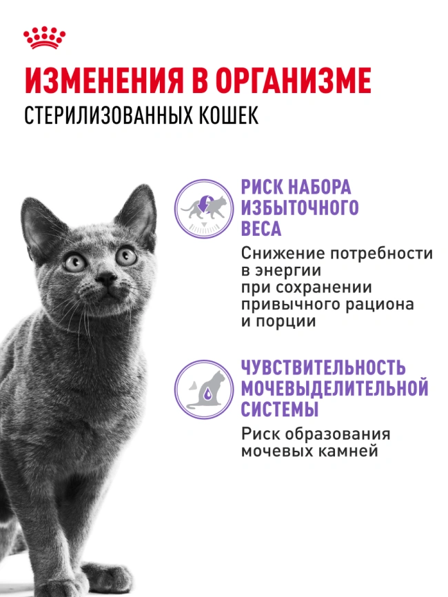 Влажный корм Royal Canin Sterilised в соусе для стерилизованных кошек старше 1 года, пауч, 85 г фото 2