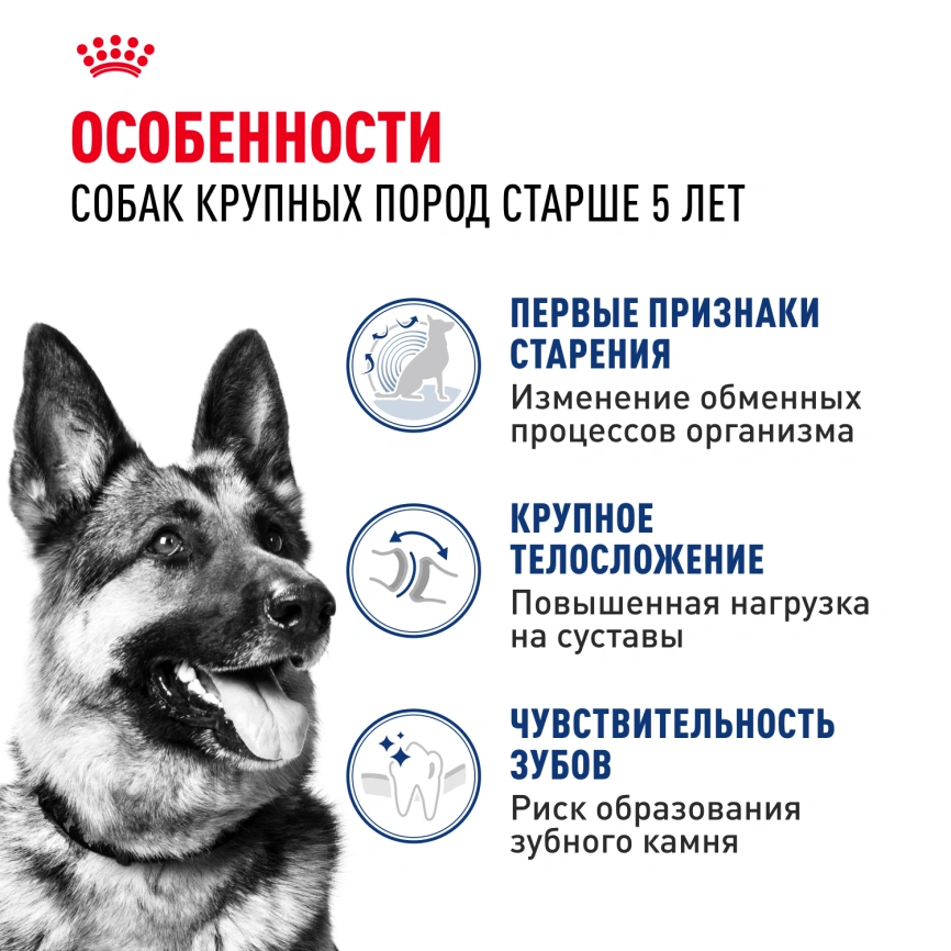 Сухой корм Royal Canin Maxi Adult 5+ для собак, 4 кг фото 2