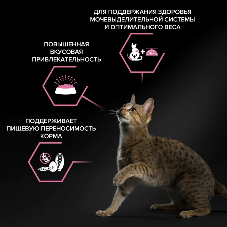 Сухой корм Purina Pro Plan Cat Adult Sterilised для стерилизованных кошек, с курицей, 3 кг фото 2