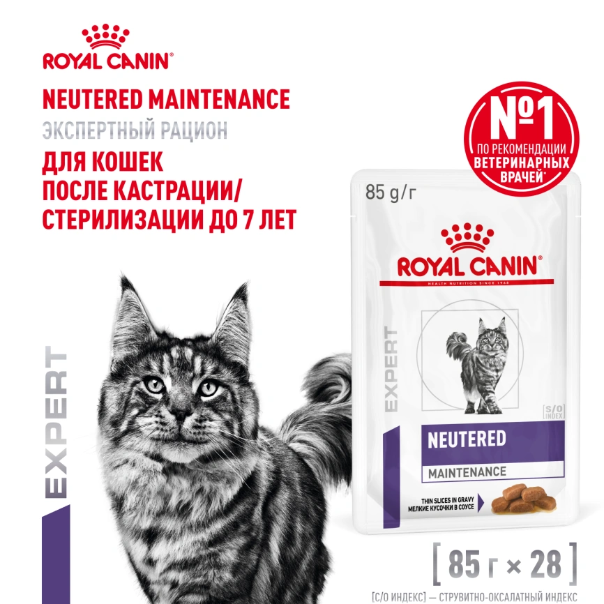 Влажный корм Royal Canin Neutered Maintenance в соусе для стерилизованных кошек до 7 лет, пауч, 85 г фото 12