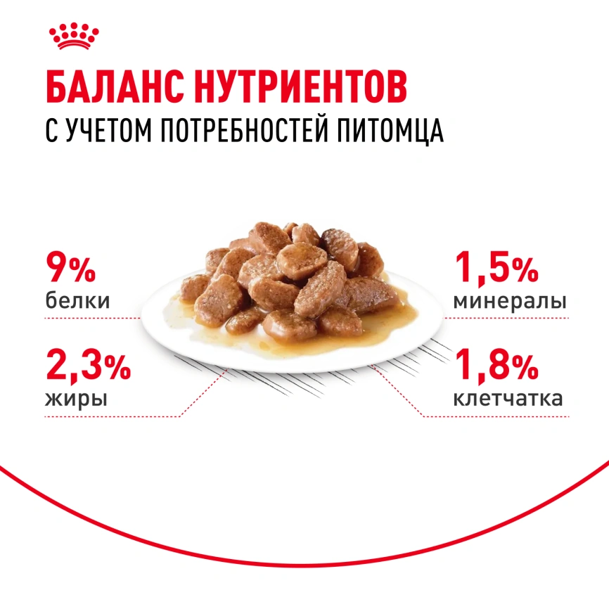 Влажный корм Royal Canin Sterilised в соусе для стерилизованных кошек старше 1 года, пауч, 85 г фото 11