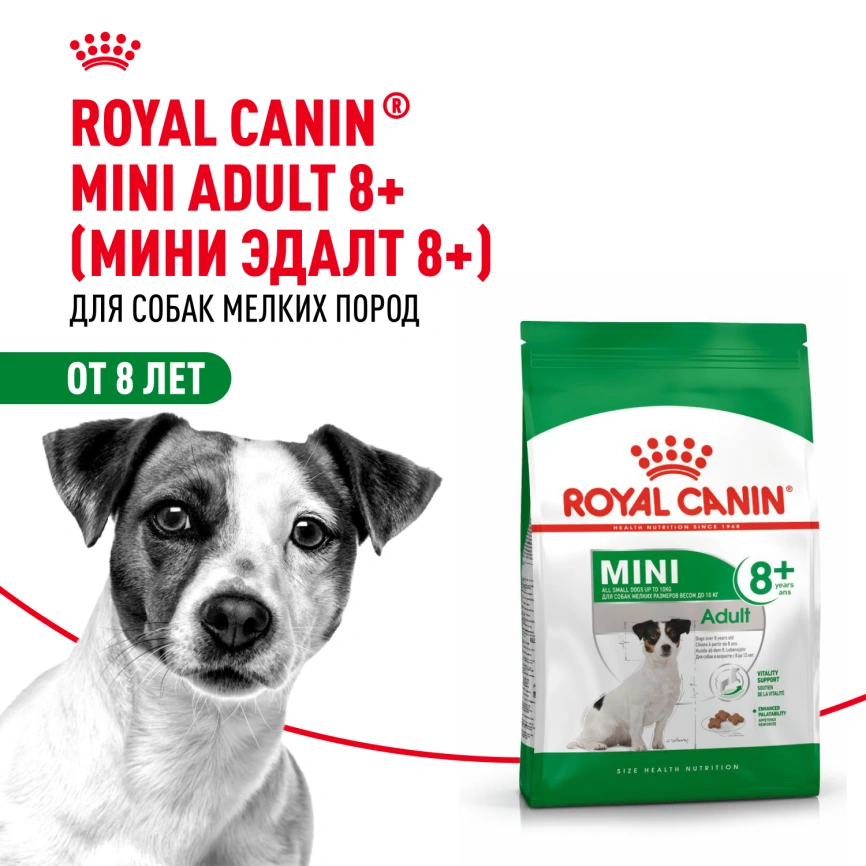 Сухой корм Royal Canin Mini Adult 8+ для пожилых собак, 4 кг фото 12