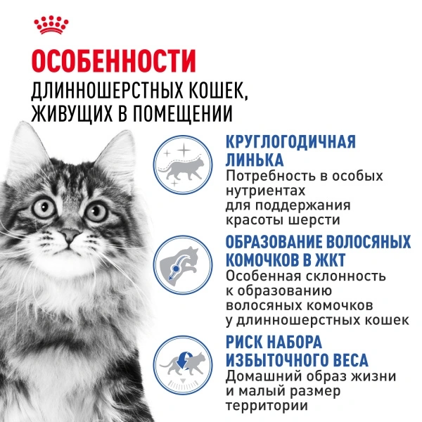 Сухой корм Royal Canin Indoor Long Hair для кошек, 2 кг фото 2