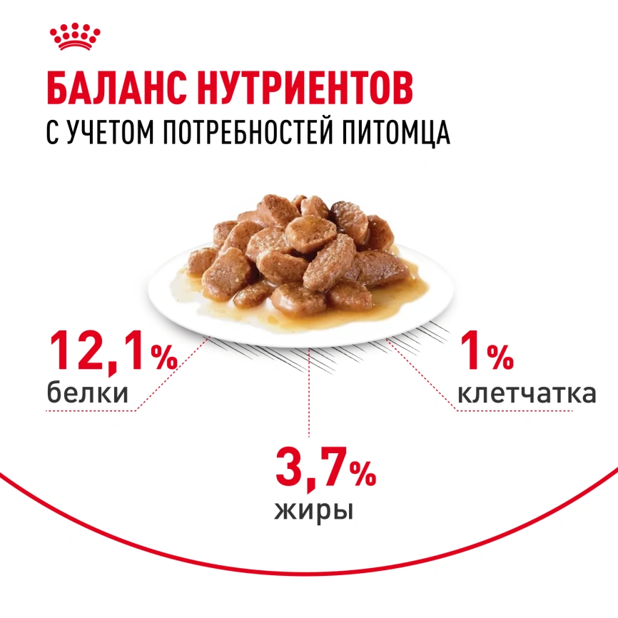 Влажный корм Royal Canin Hair & Skin Care в соусе для взрослых кошек старше 1 года, пауч, 85 г фото 5