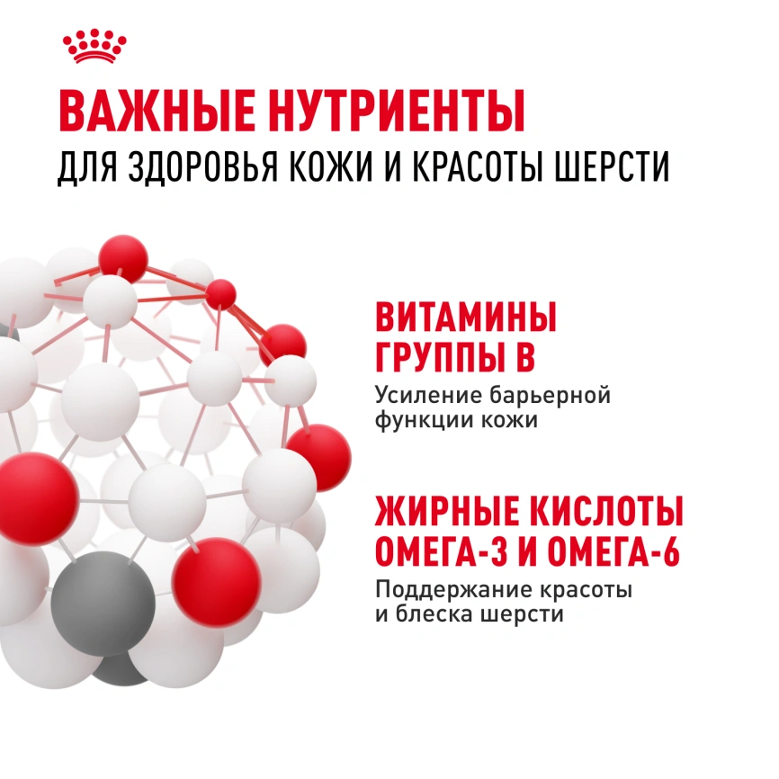Сухой корм Royal Canin Maxi Dermacomfort для собак, 10 кг фото 5
