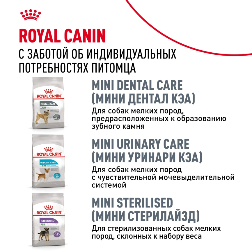 Сухой корм Royal Canin Mini Digestive Care для собак, 3 кг фото 10