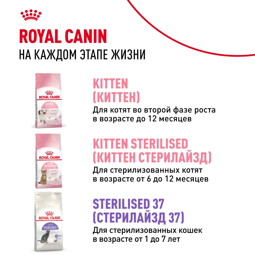 Сухой корм Royal Canin Kitten Sterilised для котят, 3.5 кг фото 9
