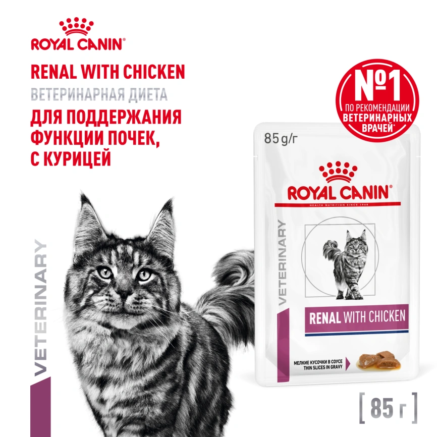 Влажный корм Royal Canin Renal with Chicken в соусе для кошек при заболеваниях почек, с курицей, пауч, 85 г фото 1