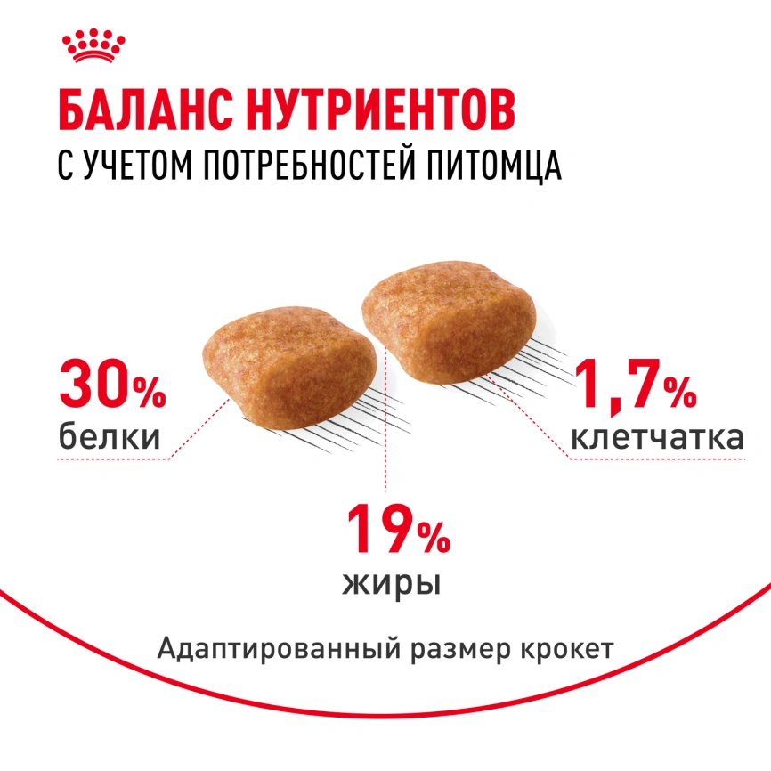 Сухой корм Royal Canin Poodle Adult для взрослых собак, 3 кг фото 5