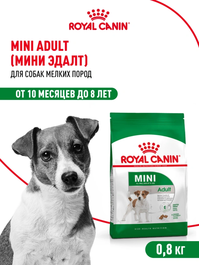 Сухой корм Royal Canin Mini Adult для взрослых собак, 800 фото 13