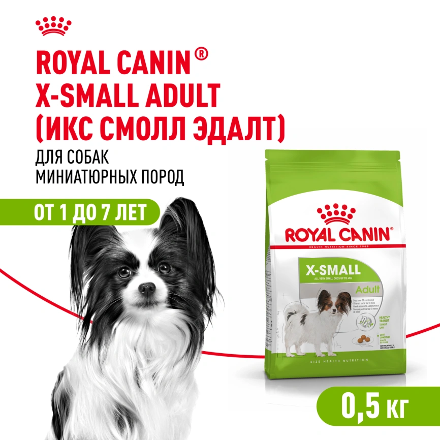 Сухой корм Royal Canin X-Small Adult для собак, 500 г фото 1