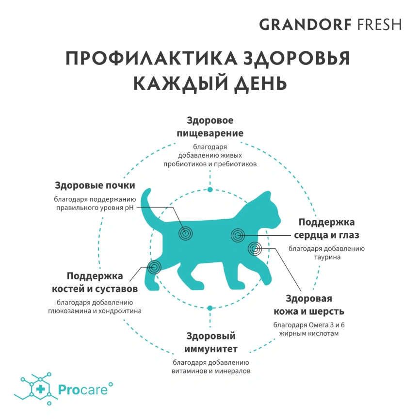Сухой корм Grandorf Fresh Cat для котят беременных или кормящих кошек ягненок с бататом 400 г фото 4