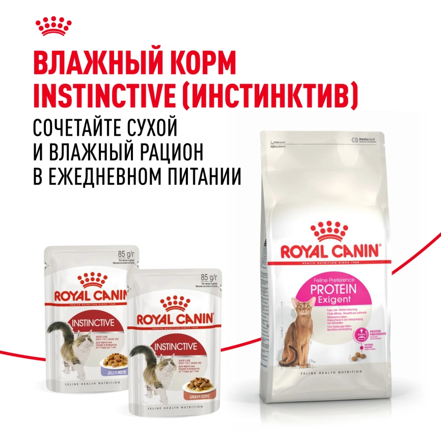 Сухой корм Royal Canin Protein Exigent для кошек, 400 г фото 8