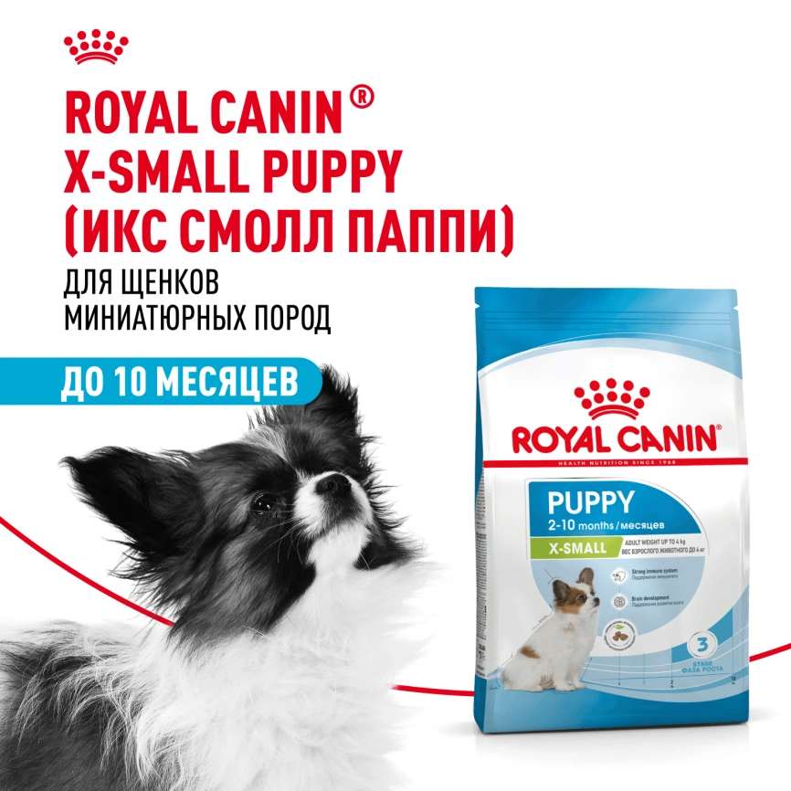 Сухой корм Royal Canin X-Small Puppy для щенков, 1.5 кг фото 15