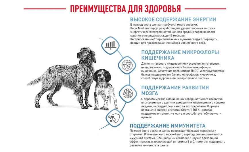 Сухой корм Royal Canin Medium Puppy для щенков, 3 кг фото 14