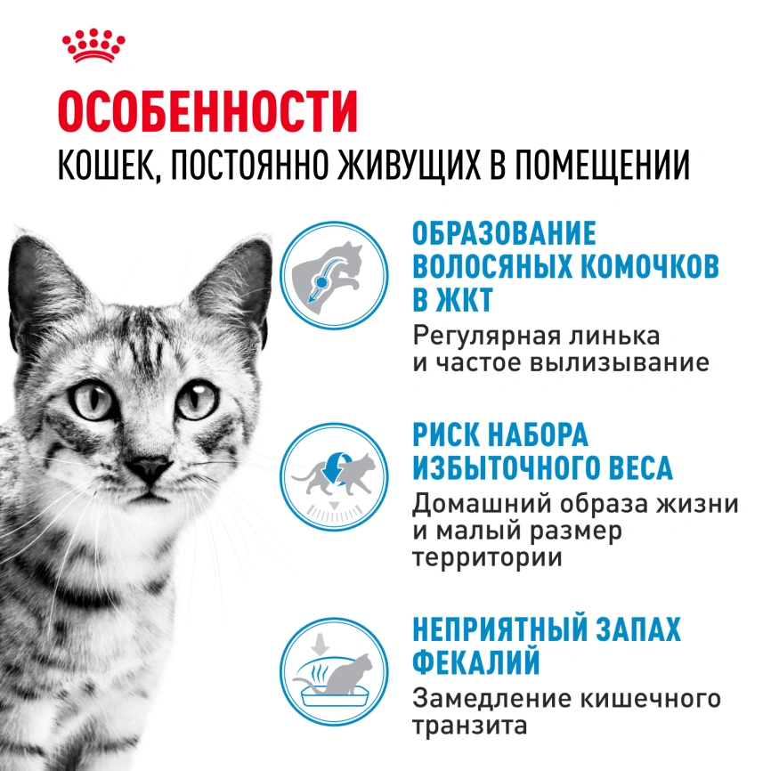 Сухой корм Royal Canin Indoor для кошек, 2 кг фото 3