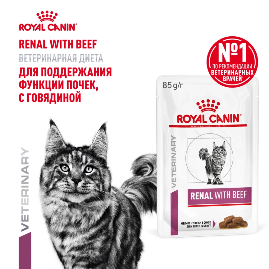 Влажный корм Royal Canin Renal with Beef в соусе для кошек при заболеваниях почек, с говядиной, пауч, 85 г фото 14