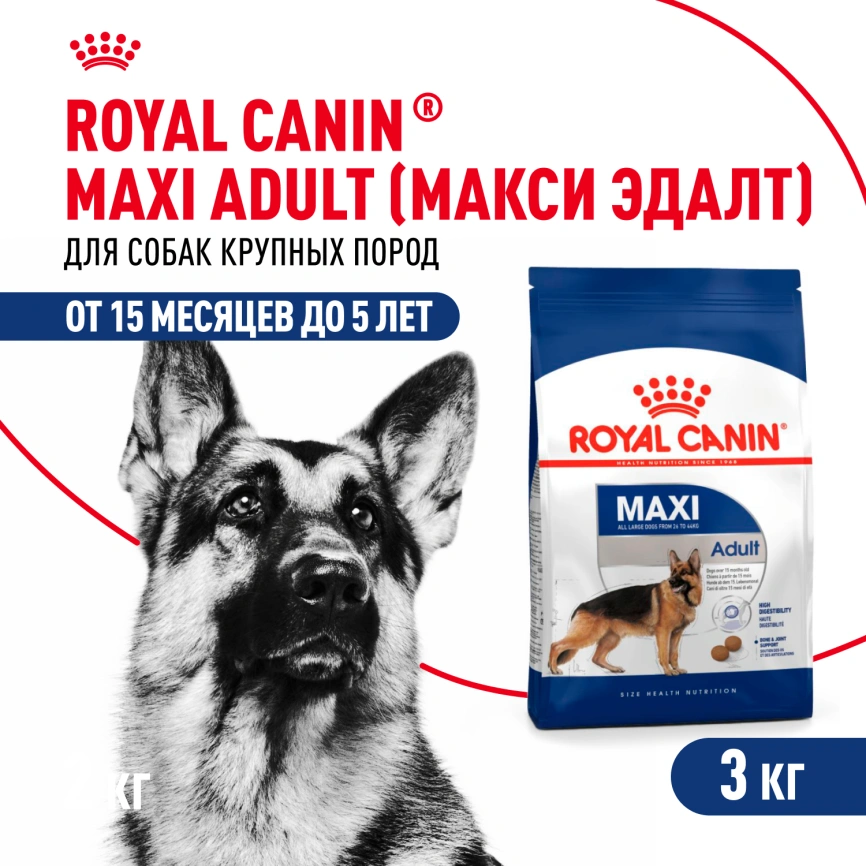 Сухой корм Royal Canin Maxi Adult для собак, 3 кг фото 1