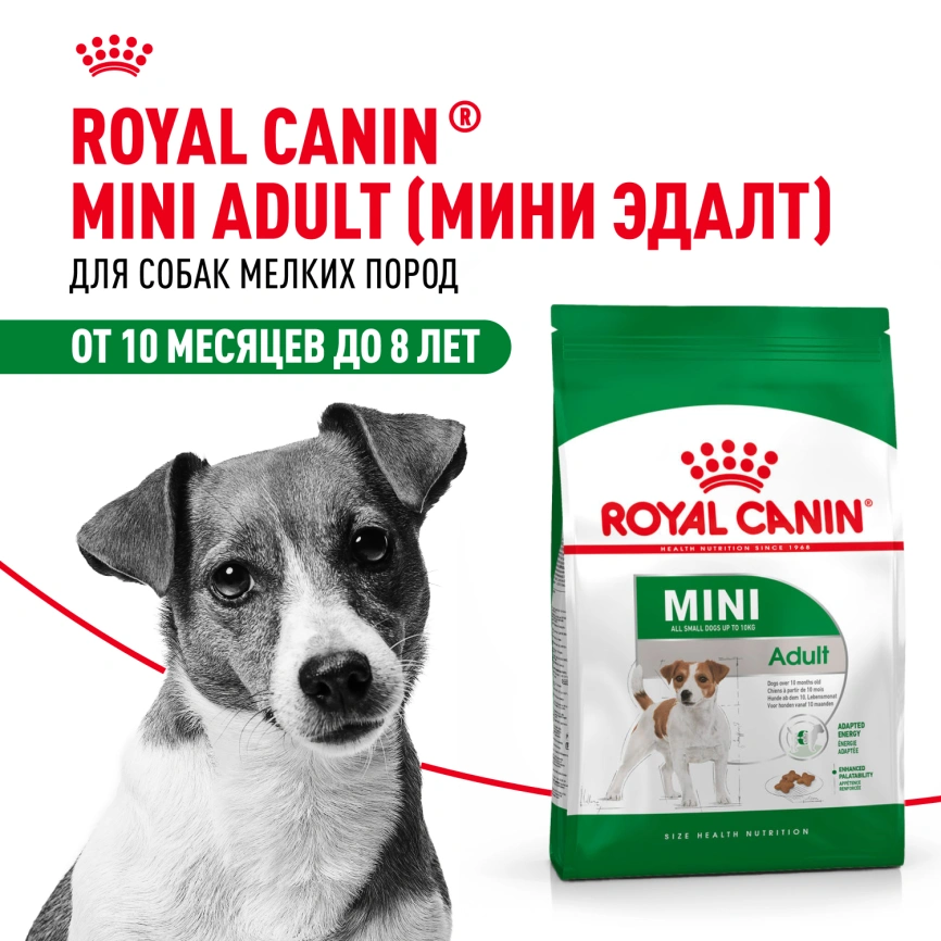 Сухой корм Royal Canin Mini Adult для взрослых собак, 4 кг фото 14