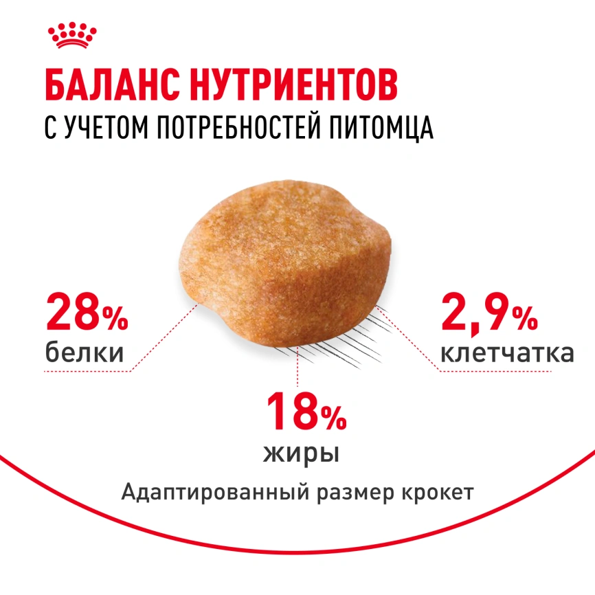 Сухой корм Royal Canin Yorkshire Terrier Adult для взрослых собак, 500 г фото 4