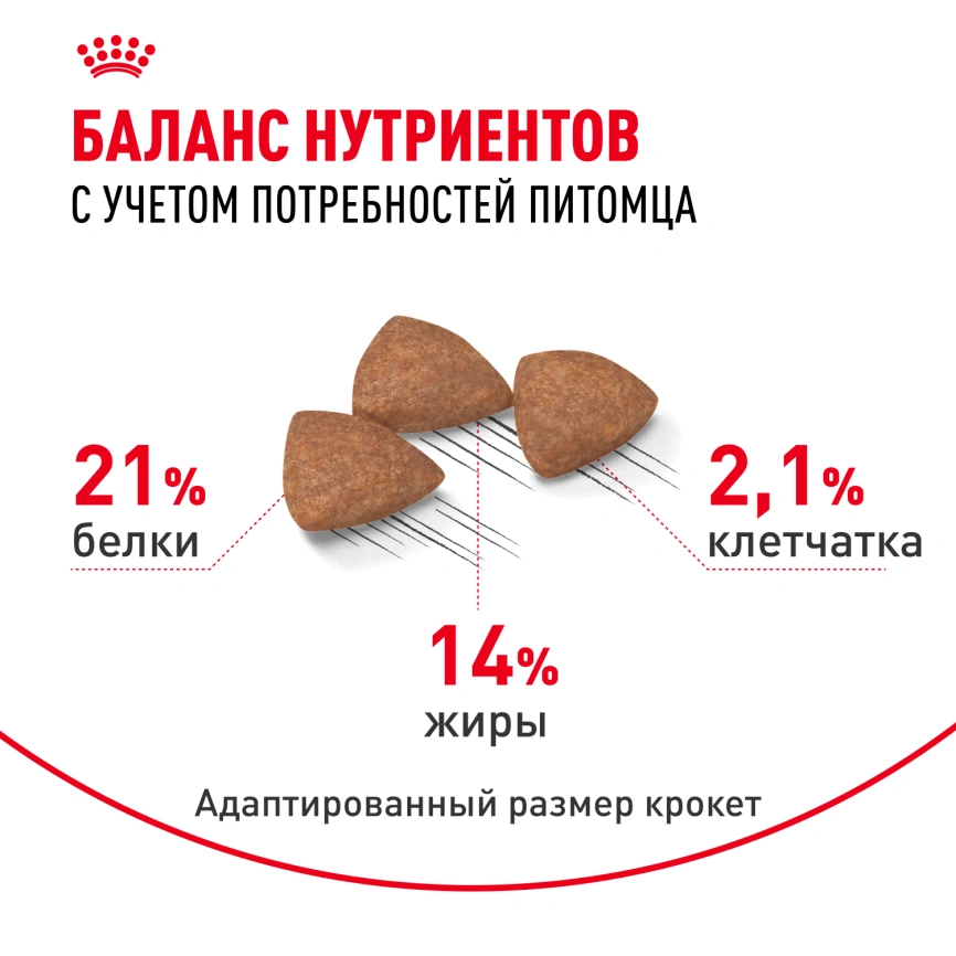 Сухой корм Royal Canin Mini Indoor Adult для собак, 500 г фото 4