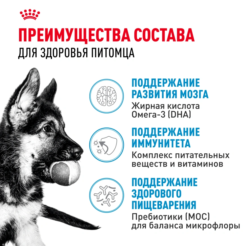 Сухой корм Royal Canin Maxi Puppy для щенков, 3 кг фото 3