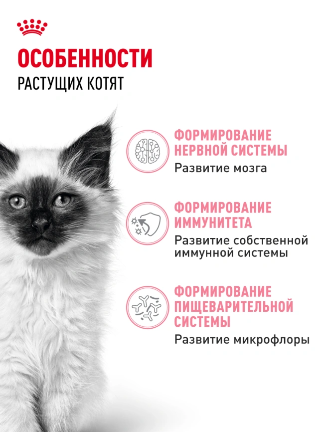 Сухой корм Royal Canin Kitten для котят, 1.2 кг фото 16