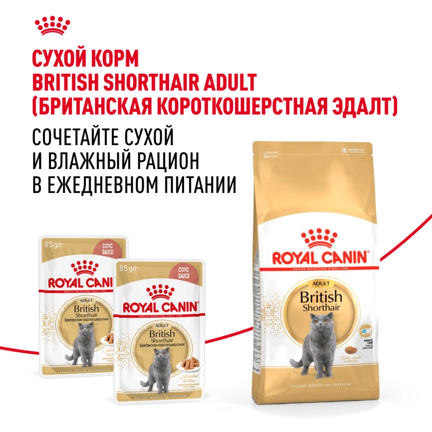 Влажный корм Royal Canin British Shorthair в соусе для кошек породы британская короткошерстная и шотландская вислоухая старше 1 года, пауч, 85 г фото 9