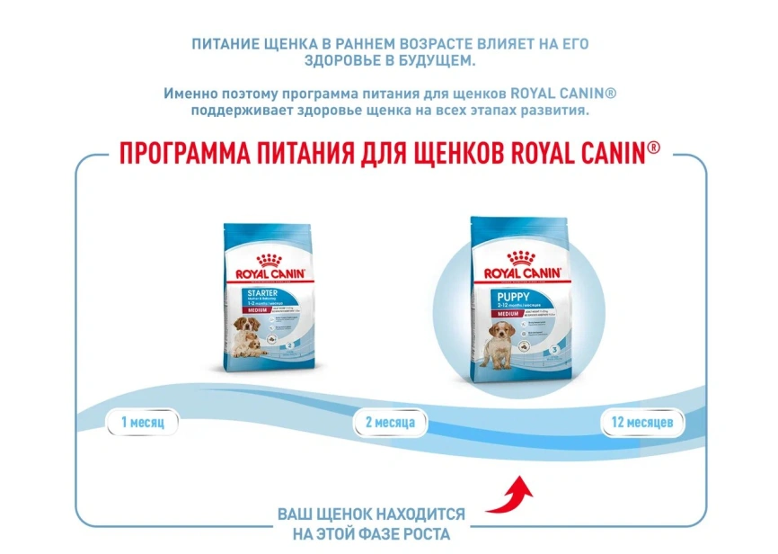 Сухой корм Royal Canin Medium Puppy для щенков, 3 кг фото 13