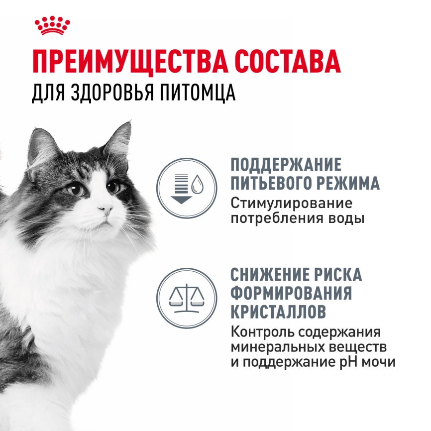 Влажный корм Royal Canin Urinary Care в соусе для кошек для поддержания здоровья мочевыделительной системы, пауч, 85 г фото 3
