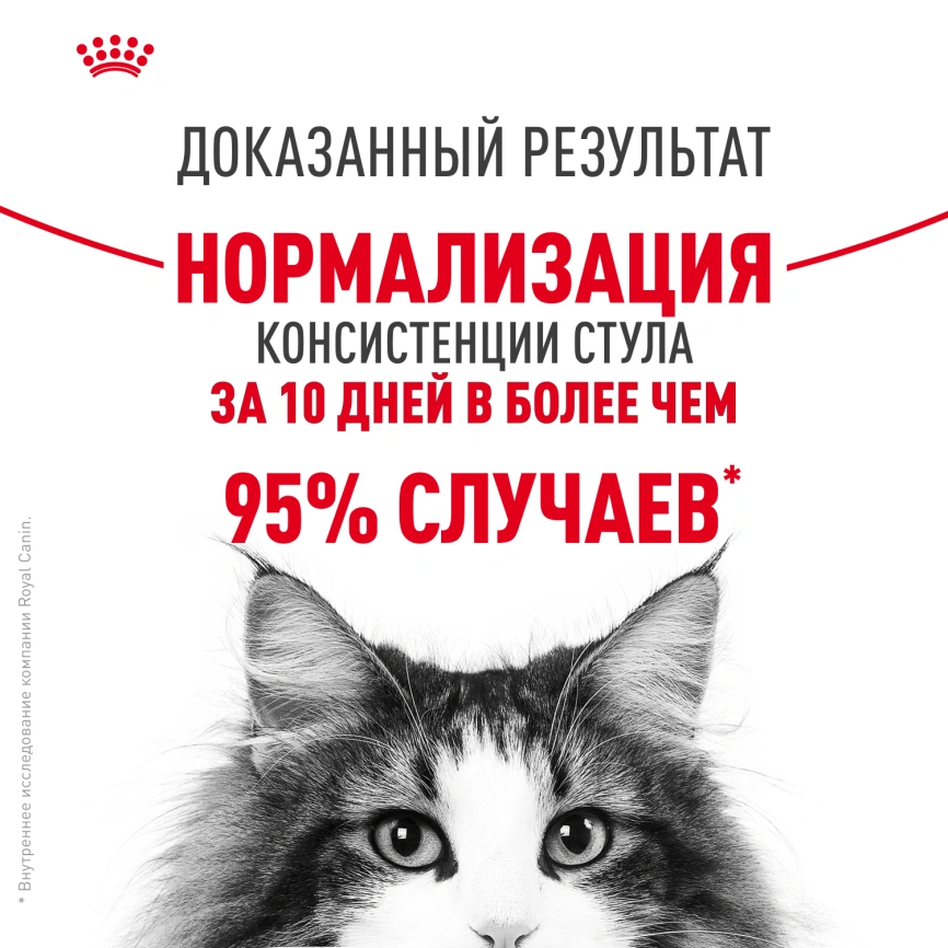 Сухой корм Royal Canin Digestive Care для кошек, 10 кг фото 9