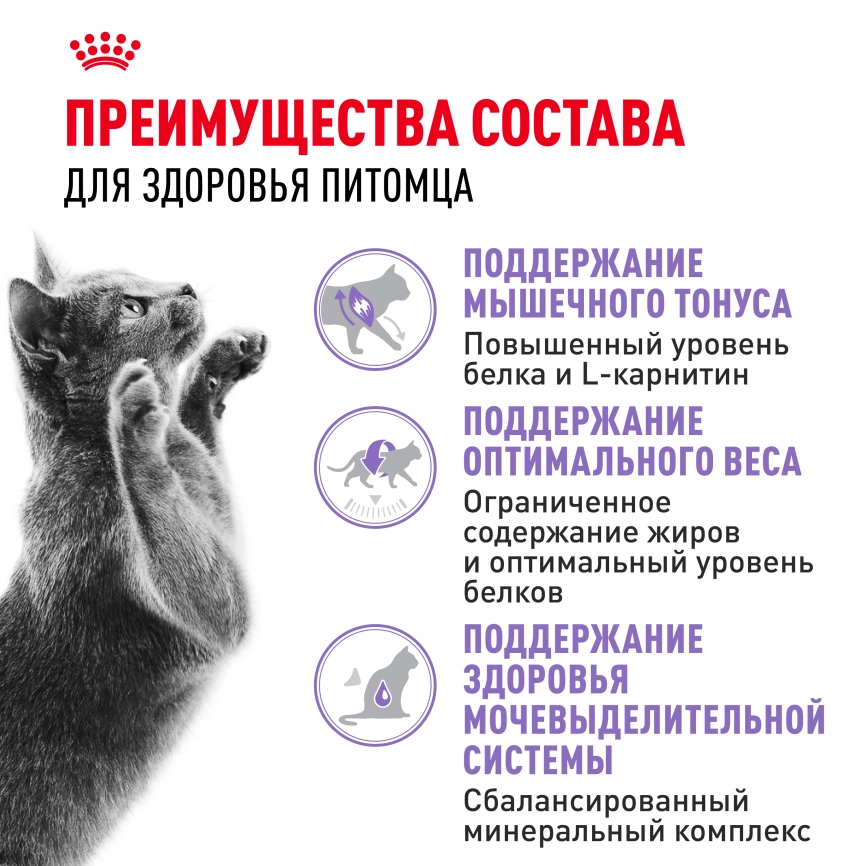 Сухой корм Royal Canin Sterilised для кастрированных котов и стерилизованных кошек, 4 кг фото 2