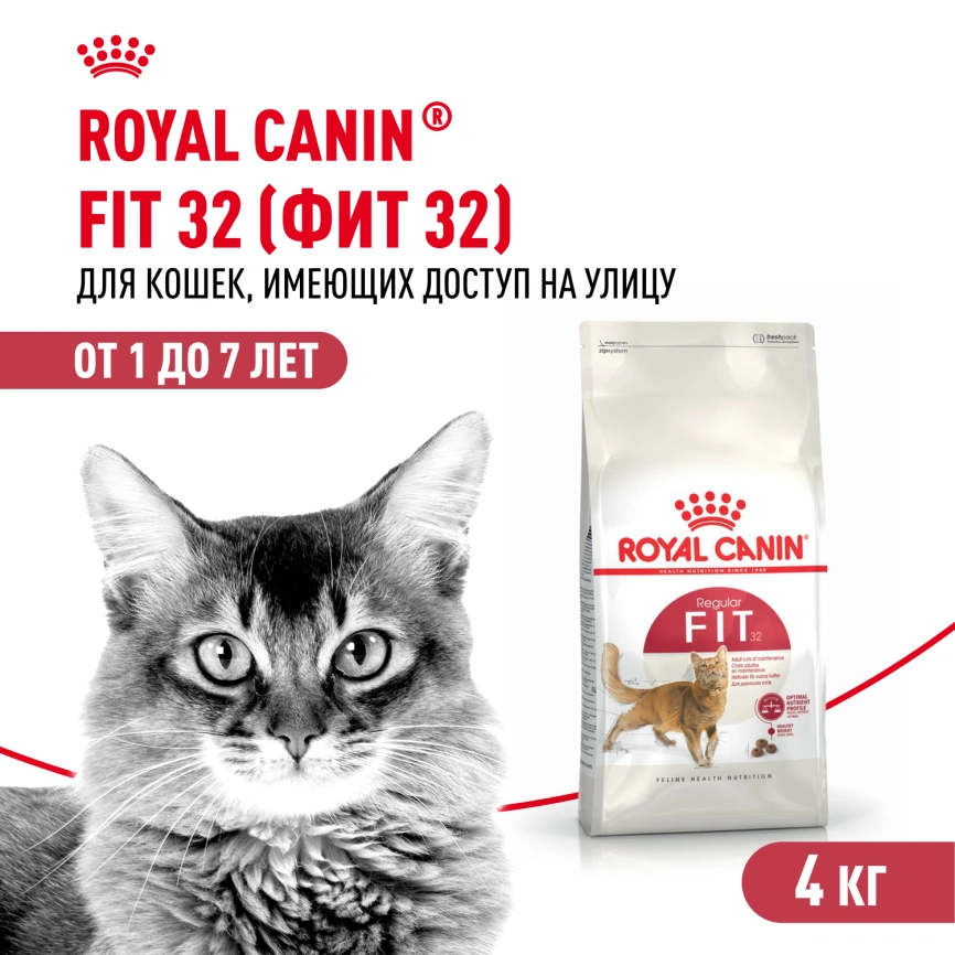 Сухой корм Royal Canin Fit для кошек, 4 кг фото 1