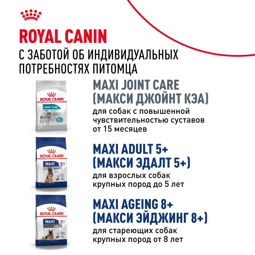 Сухой корм Royal Canin Maxi Adult для собак, 3 кг фото 9