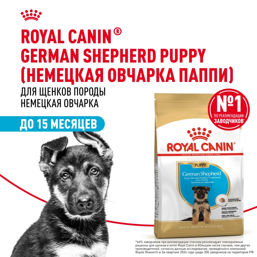 Сухой корм Royal Canin German Shepherd Puppy для щенков, 3 кг фото 14