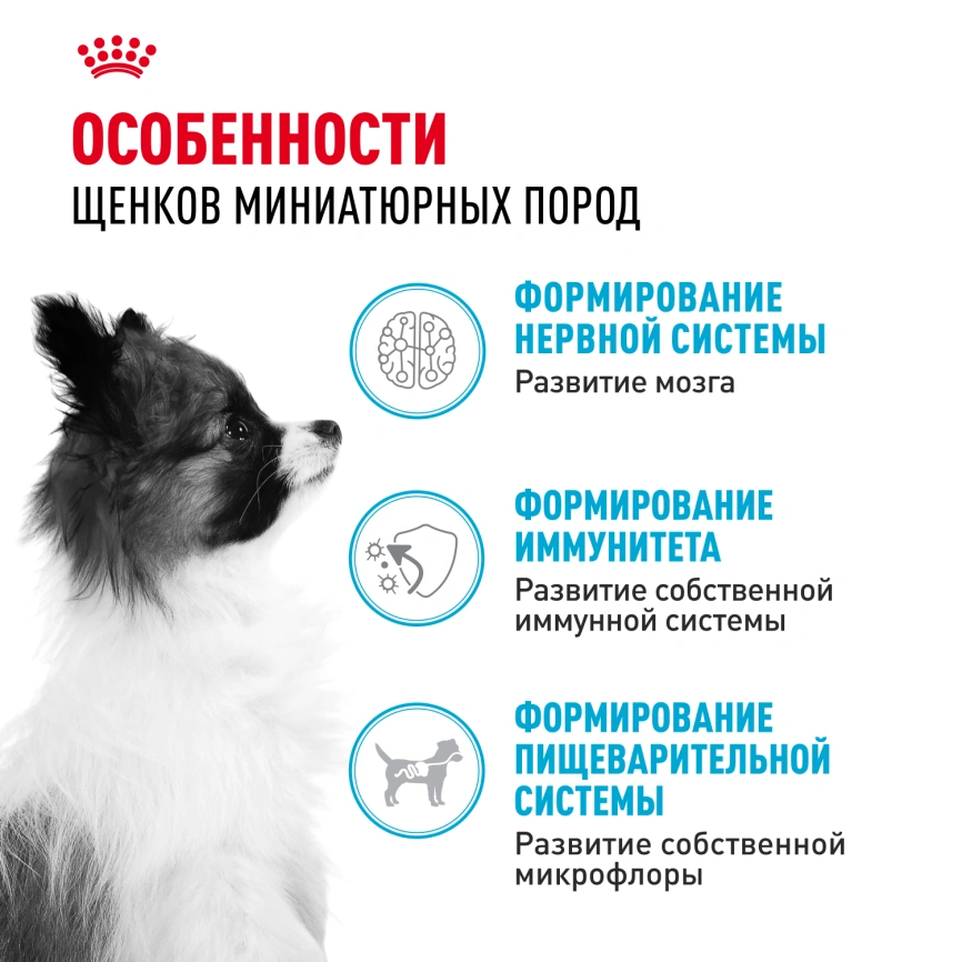 Сухой корм Royal Canin X-Small Puppy для щенков, 3 кг фото 2