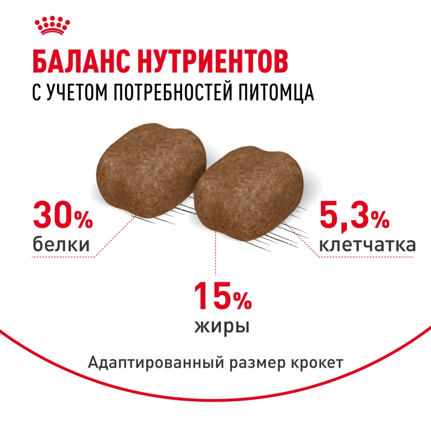 Сухой корм Royal Canin Dental Care для кошек, 400 г фото 4