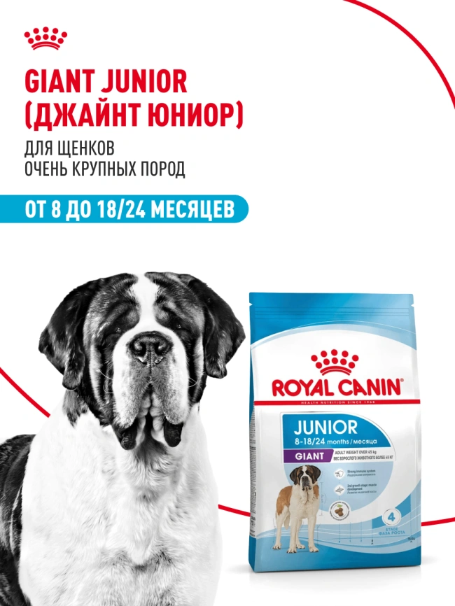 Сухой корм Royal Canin Giant Junior для щенков, 15 кг фото 12